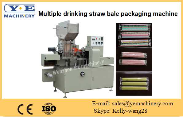 XG-42 Multiple drinking straw bale packaging machine